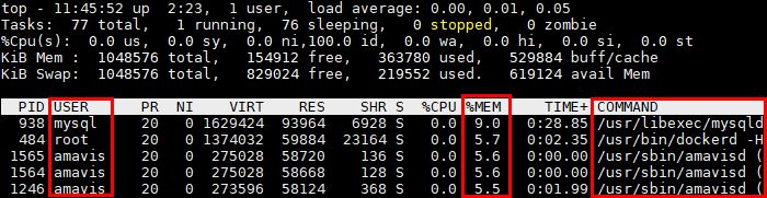 Top_Output_Memory.jpg