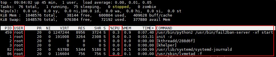 Top_Output.jpg